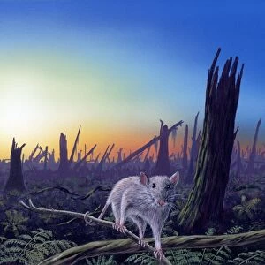 Cretaceous-Tertiary extinction event