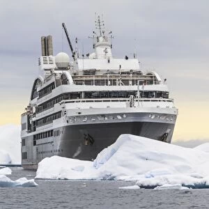 Cruise ship L Austral sailing Antarctica F008 / 3607