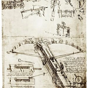 Da Vincis crossbow
