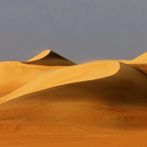 Great Sand Sea, Egyptian Sahara C014 / 1655