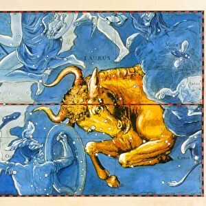Historical artwork of the constellation of Taurus