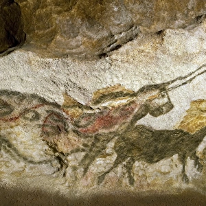 Lascaux II cave painting replica C013 / 7375