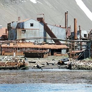 Leith whaling station, South Georgia