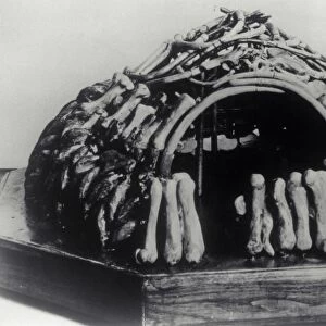 Mammoth bone hut