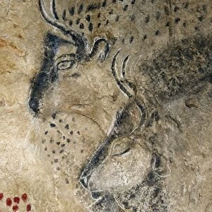 Marsoulas cave painting replica C013 / 7412