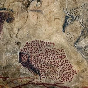 Marsoulas cave painting replica C013 / 7416