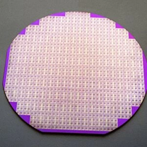 Microchips on a silicon wafer