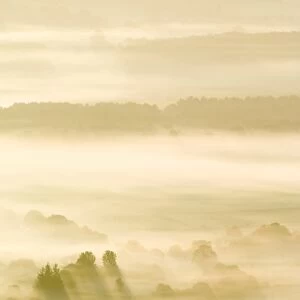 Morning mist over farmland