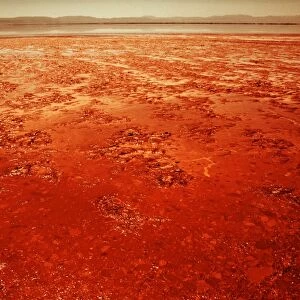 Mud on Mars