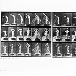 Muybridge motion study, 1907 C016 / 4564
