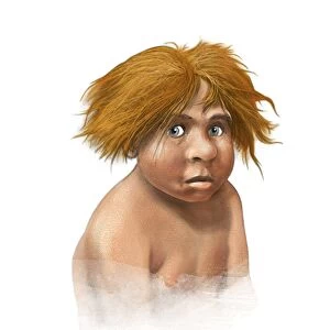 Neanderthal child, artwork