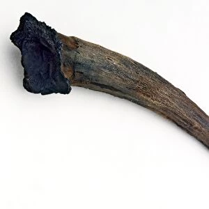Neanderthal tool C016 / 5607