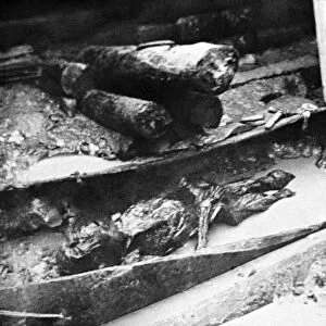 Pazyryk mummy burial, Central Asia