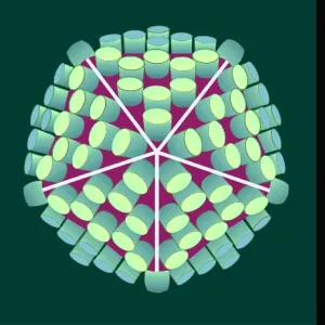 Rotavirus particle, artwork and TEM