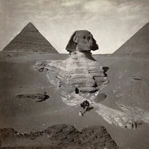 Sphinx, Egyptian pyramids, 19th century C016 / 2387