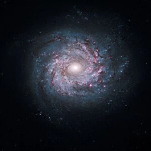 Spiral galaxy, HST image C013 / 5098
