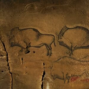 Stone-age cave paintings, Asturias, Spain