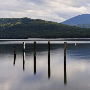 Lakes Collection: Lake Te Anau