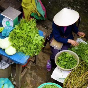 Vietnam, Northern Vietnam, Sapa. Vietnamese woman wearing a classic vietamese hat