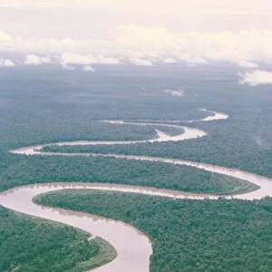 Aerial view of river and forest, West Irian (Irian Jaya)