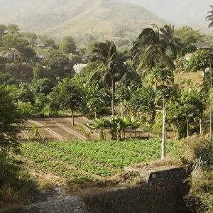Agriculture, Santiago, Cape Verde Islands, Africa