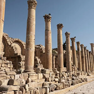 Ancient Roman road with a colonnade in the archaeological site of Jerash, Jordan, Middle East