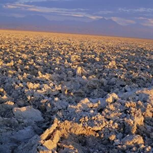 Atacama salt flats at sunset, Salar de Atacama, northern area, Chile, South America