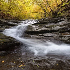 Autumn Colors in a beech trees wood with a waterfall flowing between rocks, long exposure, Emilia Romagna, Italy
