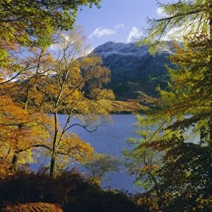 Autumn trees at Ullswater, Lake District National Park, Cumbria, England, UK, Europe