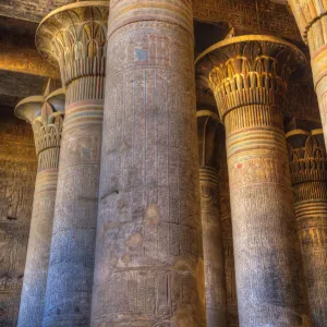 Bas Reliefs, Columns, Hypostyle Hall, Temple of Khnum, Esna, Egypt, North Africa, Africa