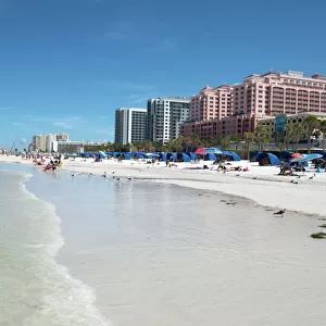 Florida Collection: Clearwater