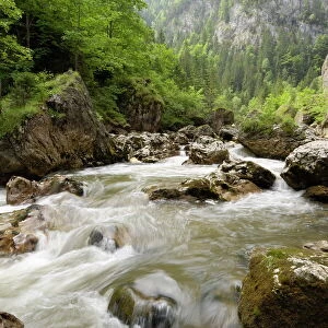 Romania Collection: Rivers