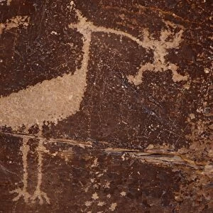 Bird petroglyph, Petrified Forest National Park, Arizona, United States of America