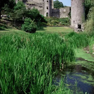 Blarney Castle