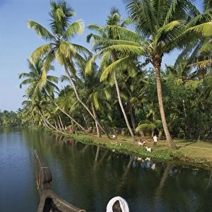 Boat on a typical backwater