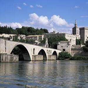 Bridge and town, Avignon, Vaucluse, Provence, France, Europe