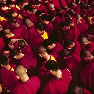 Buddhist monks praying during the celebration of Losar