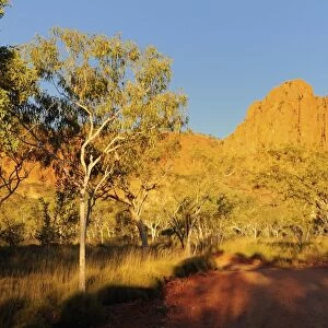 Bungle Bungle, Purnululu National Park, UNESCO World Heritage Site, Kimberley