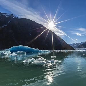 Calved glacier ice in Tracy Arm-Fords Terror Wilderness area, Southeast Alaska, United States of America, North America
