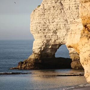 Cliffs at Etretat, Cote d Albatre, Seine-Maritime, Normandy, France, Europe