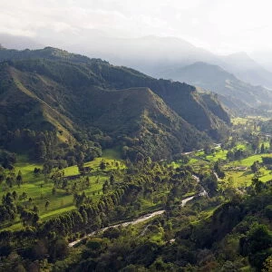Cocora Valley, Salento, Colombia, South America