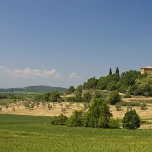 Countryside near Pienza