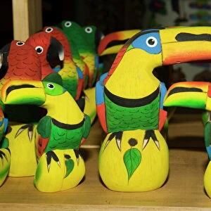 Toucans Collection: Related Images