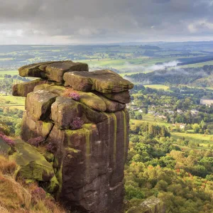 Curbar Edge, summer heather, view towards Chatsworth, Peak District National Park