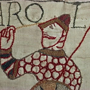 Battle of Hastings Collection: Bayeux Tapestry