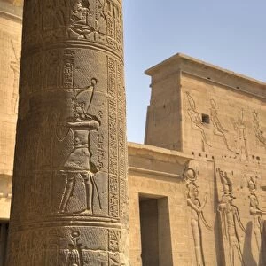 Decorative relief on column, from outside the Birth House, Temple of Isis, Island of Philae