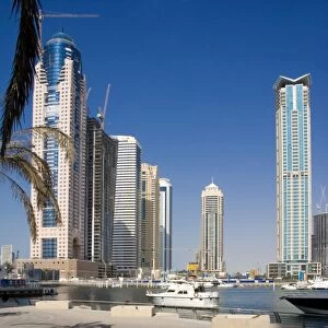 Dubai Marina, Dubai, United Arab Emirates (U