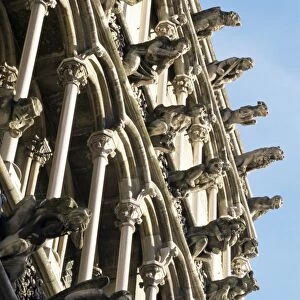 Facade with false gargoyles, Eglise Notre-Dame, Dijon, Burgundy, France, Europe
