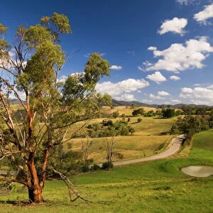 Farmland, Buchan, Victoria, Australia, Pacific