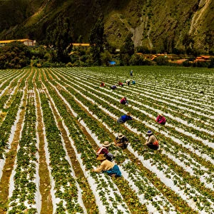 Farmland at El Albergue next to Peruvian mountains, Peru, South America